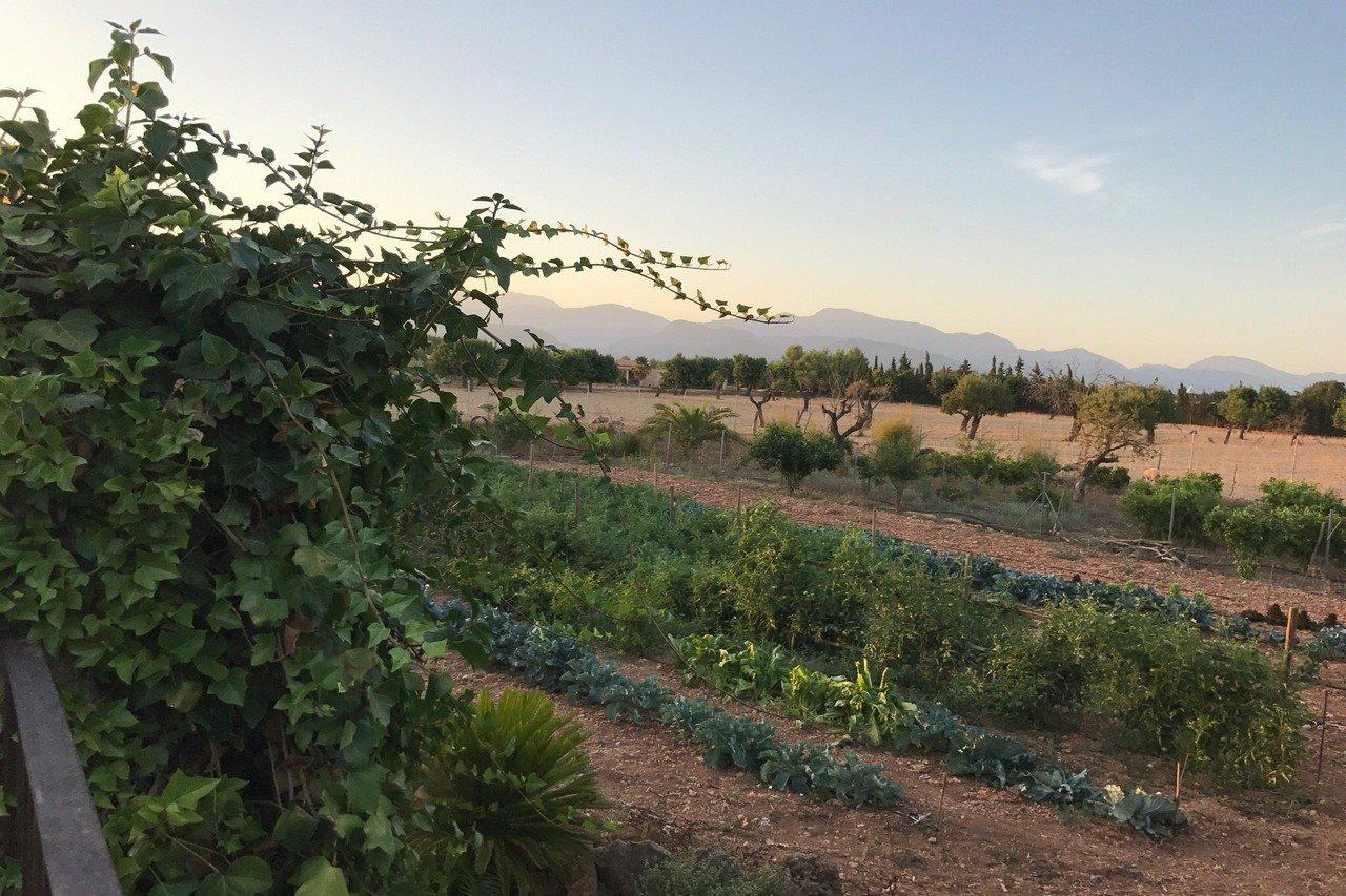 Agroturismo Es Quatre Cantons Binissalem Eksteriør bilde